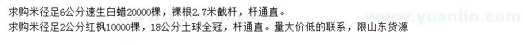 求购米径6公分速生白蜡、米径2公分红枫