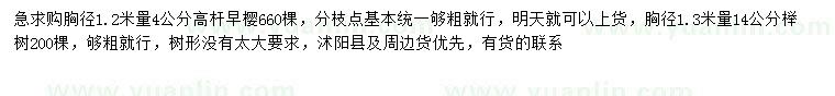 求购1.2米量4公分高杆早樱、1.3米量14公分榉树