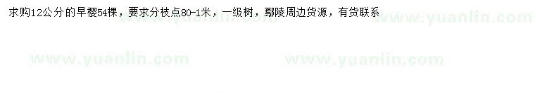 求购12公分早樱