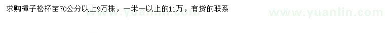 求购70公分以上、1.1米以上樟子松