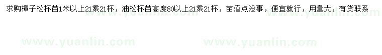 求购1米以上樟子松、高80公分以上油松