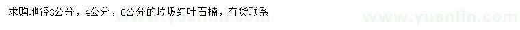 求购地径3、4、6公分红叶石楠