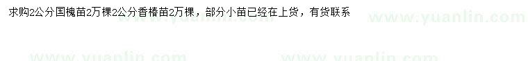 求购2公分国槐小苗、香椿小苗