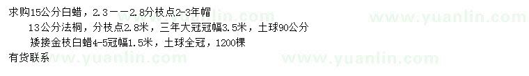 求购白蜡、法桐、金枝白蜡