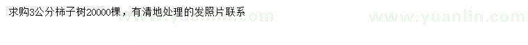 求购3公分柿子树