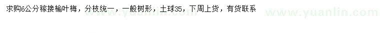 求购6公分榆叶梅
