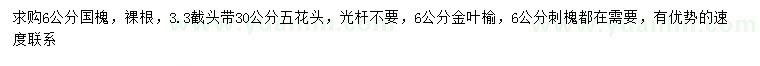求购国槐、金叶榆、刺槐