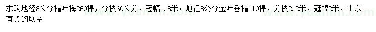 求购地径8公分榆叶梅、金叶垂榆