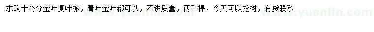 求购10公分金叶复叶槭、青叶复叶槭