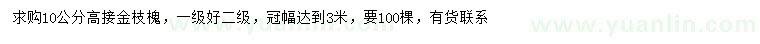 求购10公分高接金枝槐