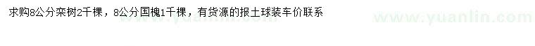 求购8公分栾树、国槐