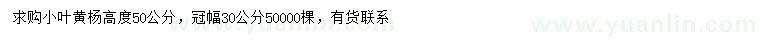 求购高50公分小叶黄杨