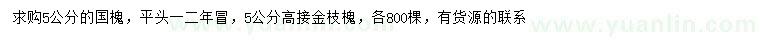 求购5公分国槐、高接金枝槐