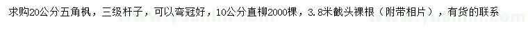 求购20公分五角枫、10公分直柳