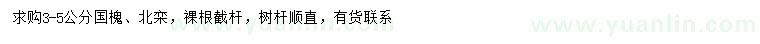 求购3-5公分国槐、北栾