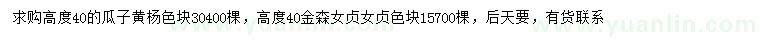 求购高40公分瓜子黄杨、金森女贞