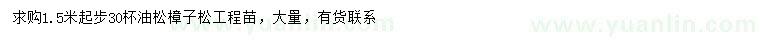 求购1.5米以上油松、樟子松