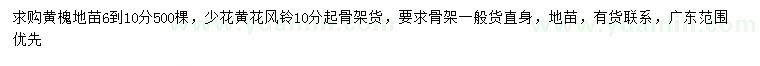 求购6-10公分黄槐、10公分以上少花黄花风铃