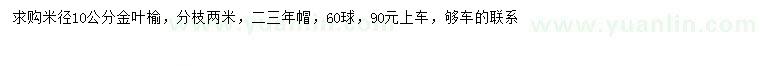 求购米径10公分金叶榆