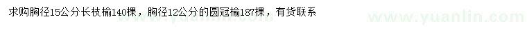 求购胸径15公分长枝榆、胸径12公分圆冠榆