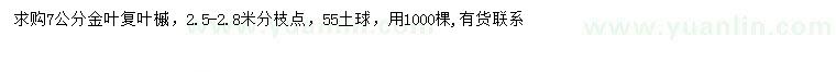 求购7公分金叶复叶槭