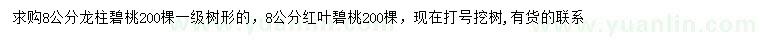 求购8公分龙柱碧桃、红叶碧桃