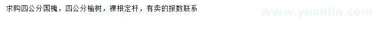 求购4公分国槐、榆树