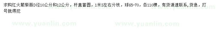 求购地径10、12公分红火箭紫薇