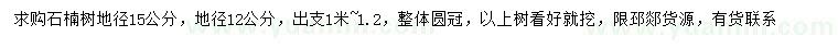 求购地径12、15公分石楠