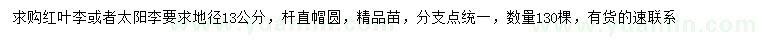 求购地径13公分红叶李、太阳李