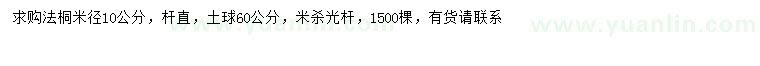 求购米径10公分法桐