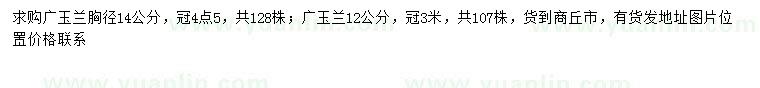 求购胸径12、14公分广玉兰