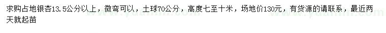 求购13.5公分以上银杏