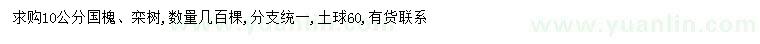 求购10公分国槐、栾树