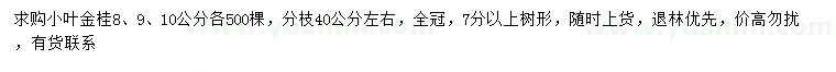 求购8、9、10公分小叶金桂