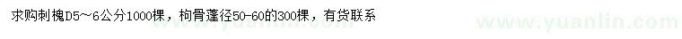 求购地径5-6公分刺槐、冠幅50-60公分枸骨