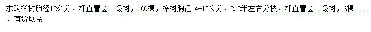 求购胸径12、14-15公分榉树