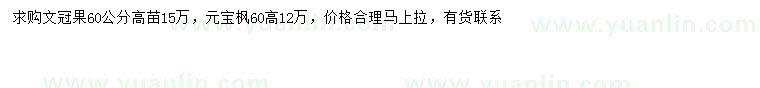 求购高60公分文冠果、元宝枫