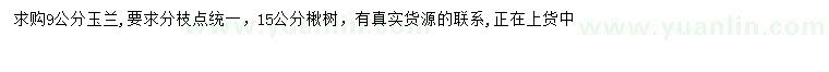 求购9公分玉兰、15公分楸树