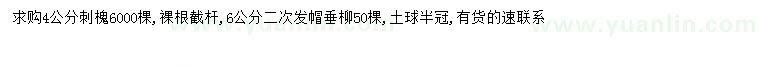 求购4公分刺槐、6公分垂柳