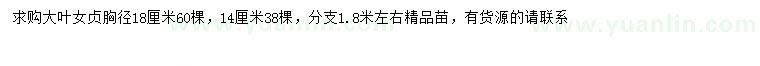 求购胸径14、18公分大叶女贞