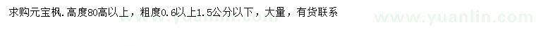 求购高80公分以上元宝枫