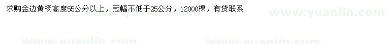 求购高55公分以上金边黄杨