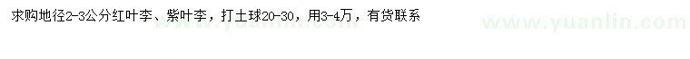 求购地径2-3公分红叶李、紫叶李