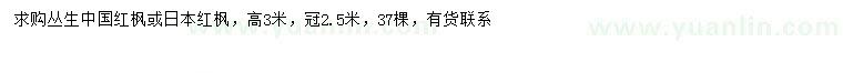 求购冠幅2.5米丛生中国红枫、日本红枫