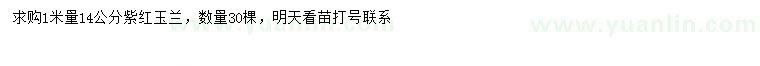 求购1米量14公分紫玉兰、红玉兰