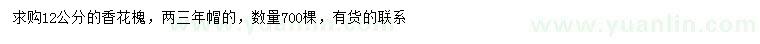求购12公分香花槐