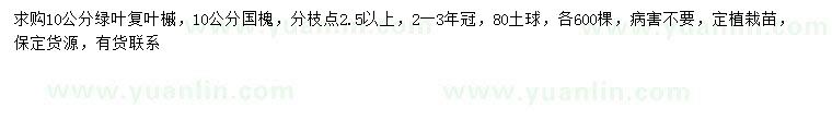 求购10公分绿叶复叶槭、国槐