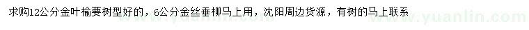 求购12公分金叶榆、6公分金丝垂柳