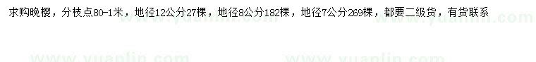 求购地径7、8、12公分晚樱